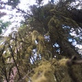 Baker Gulch Trail